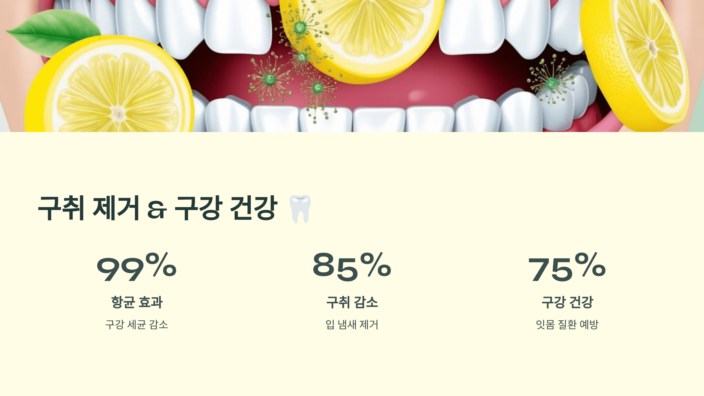 레몬즙 사진입니다.