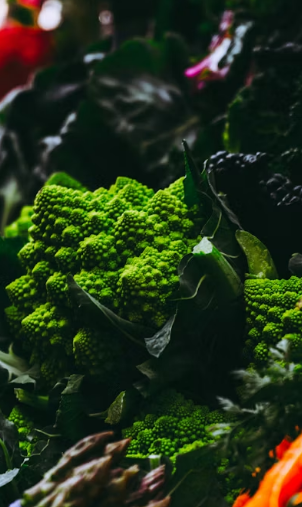 임신 초기부터 후기까지: 쑥 섭취 가이드 및 자궁 건강을 지키는 올바른 식습관