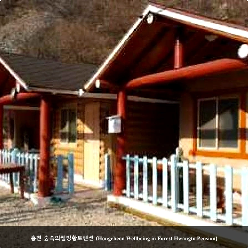 홍천 숲속의웰빙황토펜션 (Hongcheon Wellbeing in Forest Hwangto Pension)_1