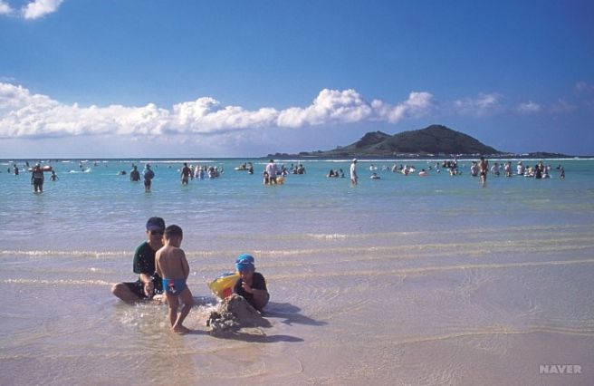 해수욕장에 관한 그림