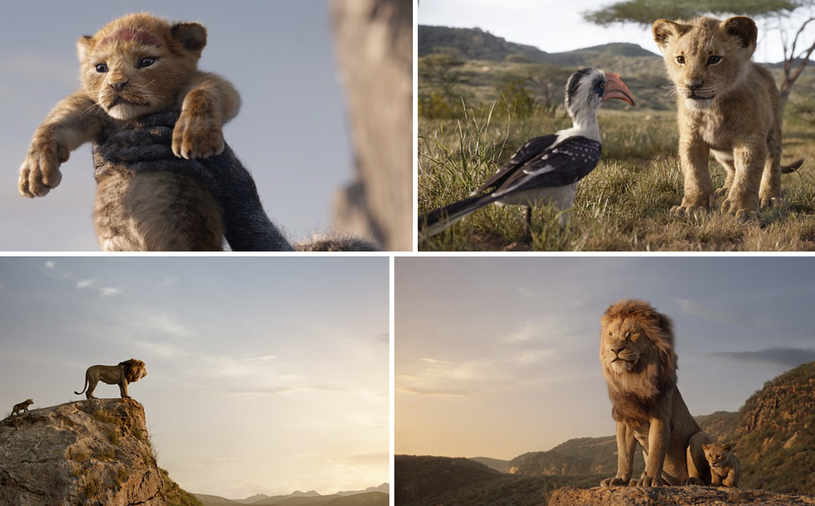 영화 라이온 킹 엘튼 존