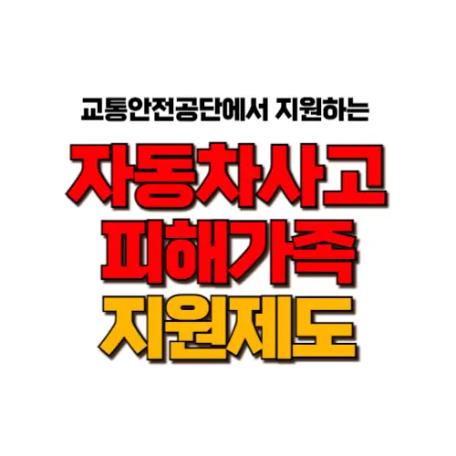 자동차사고 피해가족 지원제도 썸네일