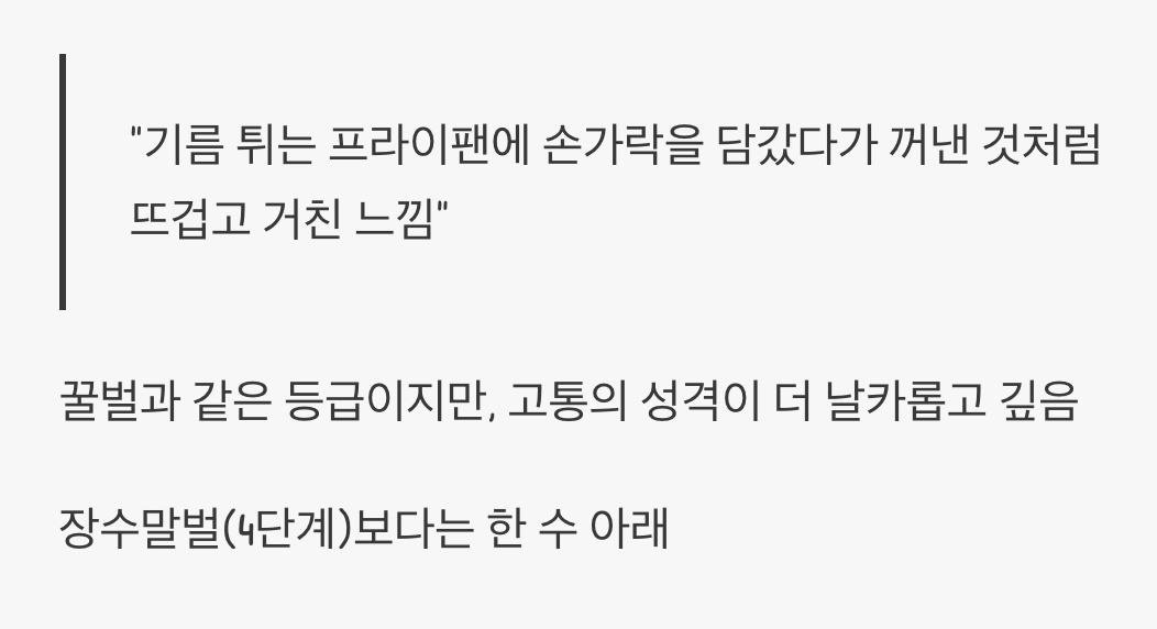 땅벌, 고통 지수 2단계의 강력함