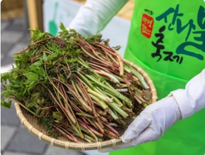 양평 산나물 축제