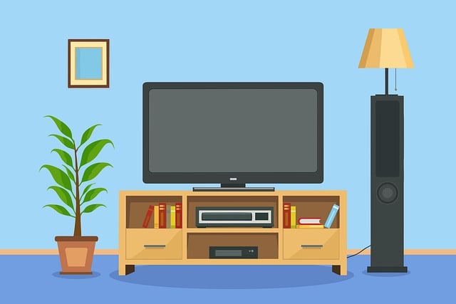 TV