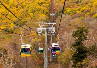 발왕산 케이블카 예약 요금 할인 운행시간