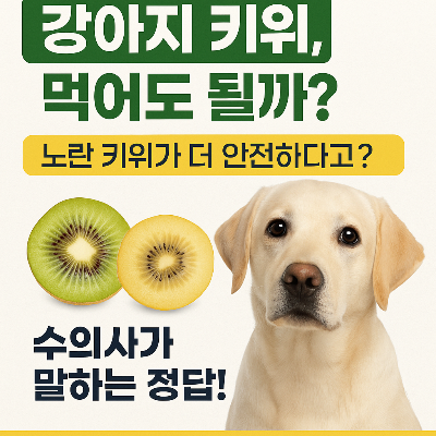 강아지 키위, 먹여도 될까? 녹색 키위 vs 노란 키위 완전정복!