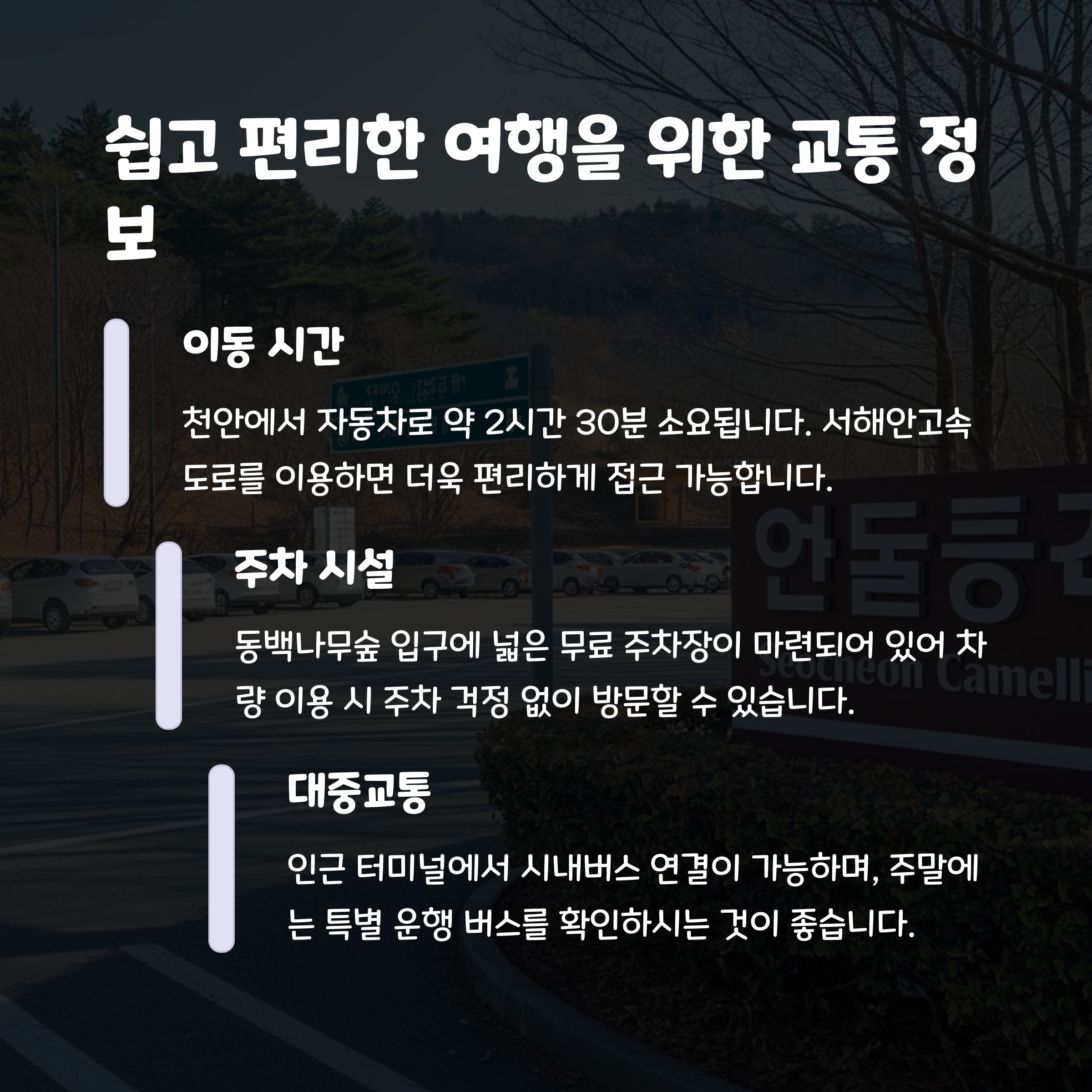 서천여행팁