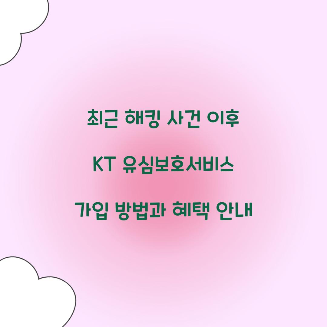 최근 해킹 사건 이후 KT 유심보호서비스 가입 폭주