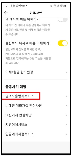 카카오뱅크 명의도용 서비스