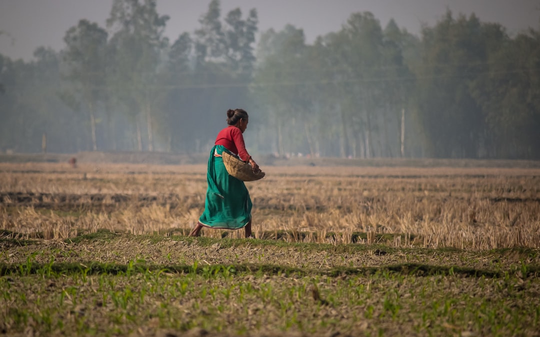 Livelihood