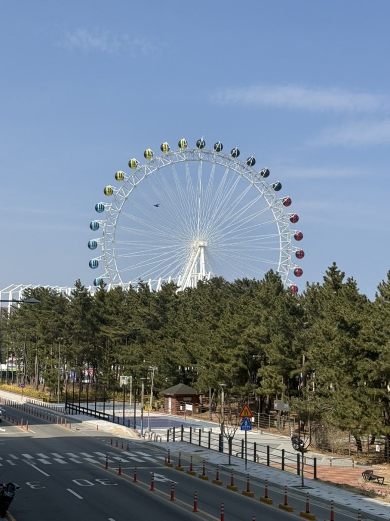 보사노바 커피로스터스 속초점에서 바라본 속초아이