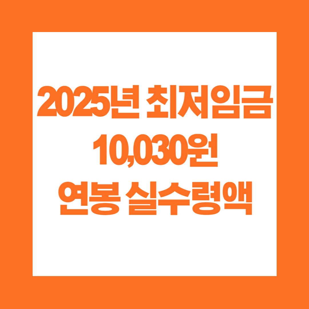 2025년 최저임금 연봉 실수령액