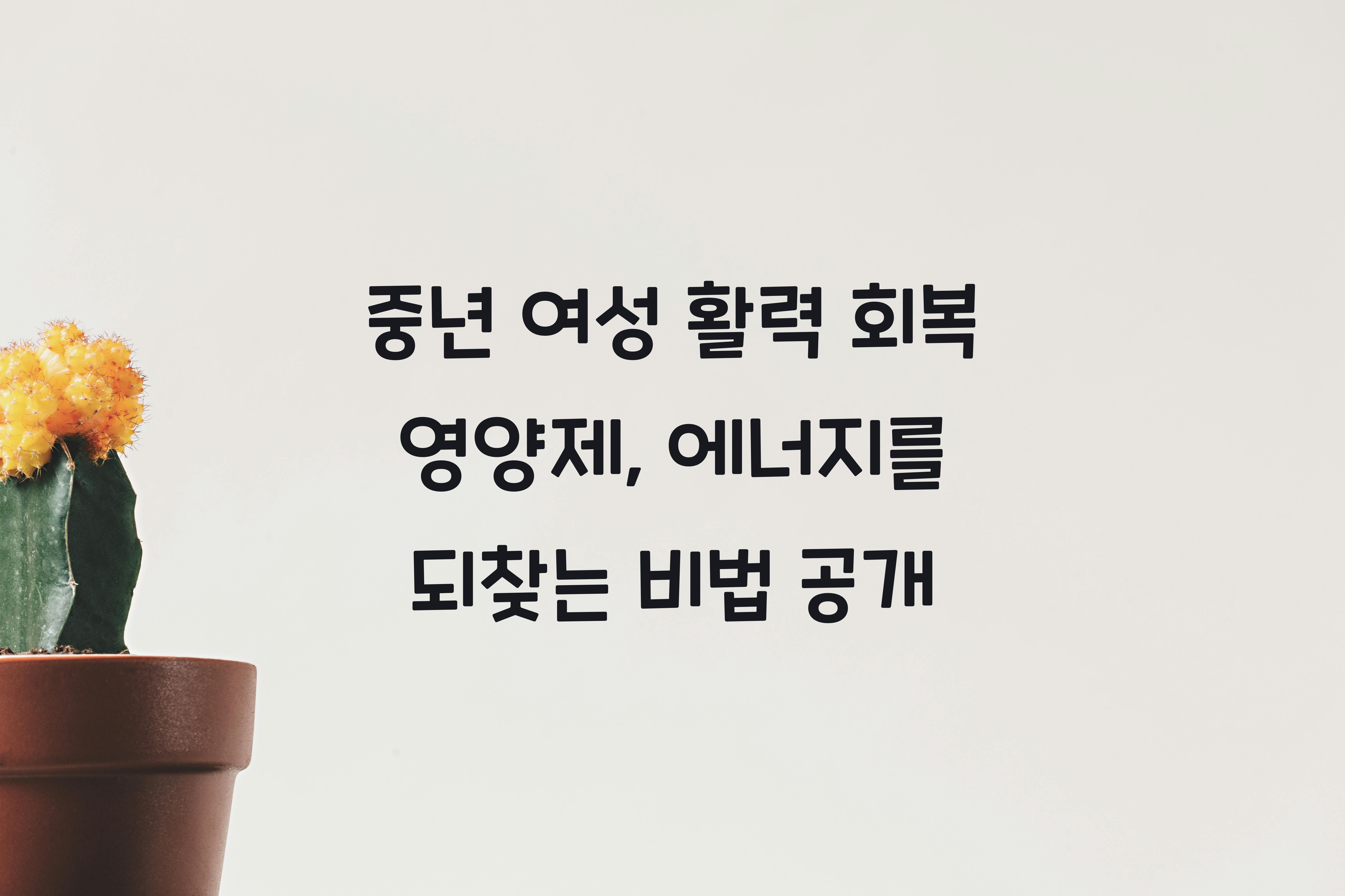 중년 여성 활력 회복 영양제