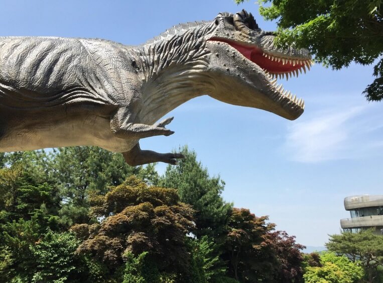 강화도 가볼만한곳 베스트 10 옥토끼 우주센터