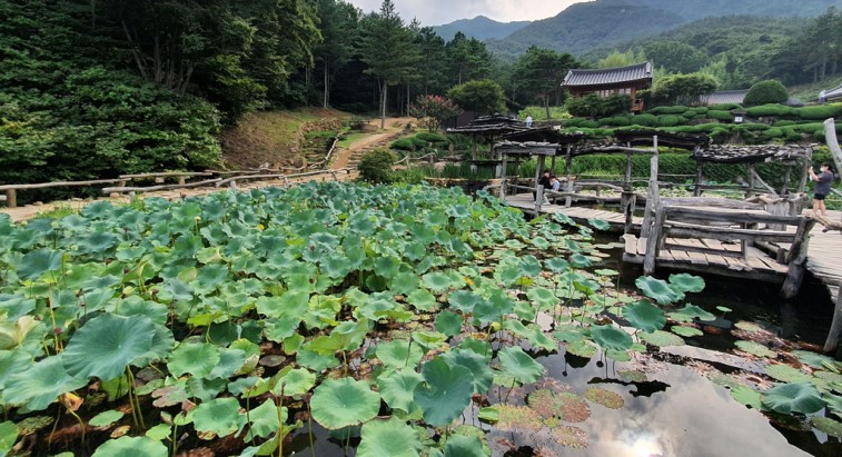 산청 수선사 템플스테이