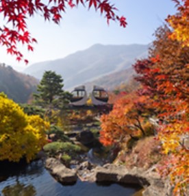 화담숲 예약: 한국의 고요한 수목원을 방문하는 방법, 입장료, 그리고 계절별 팁