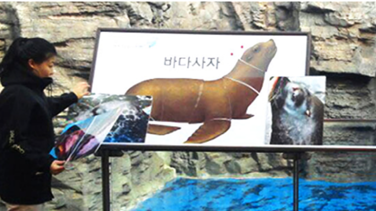 여수 아쿠아플라넷