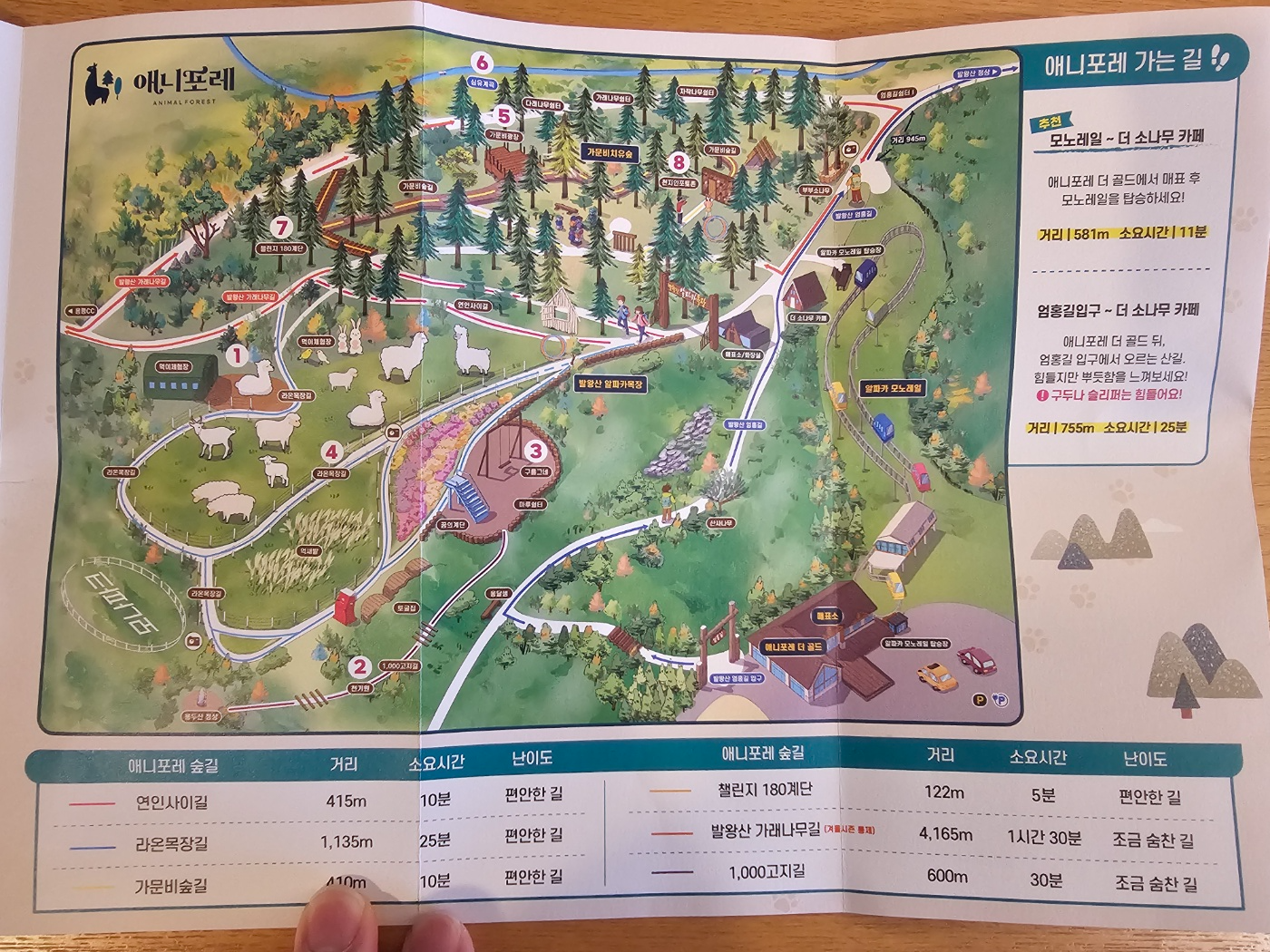 [24.11월] 아이와 평창 #1 - 모나 용평리조트 애니포레🏔️