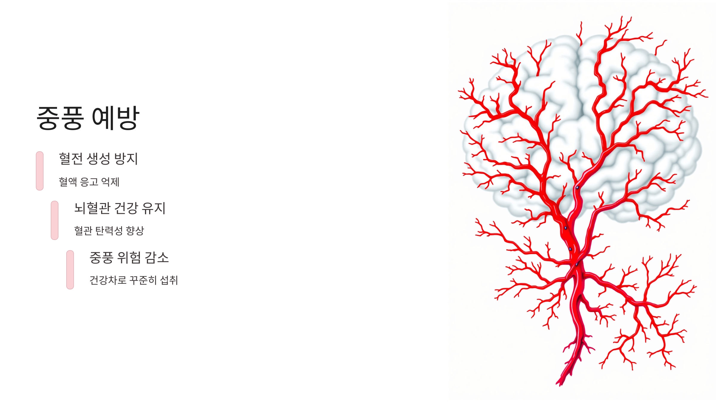 마가목 사진입니다.