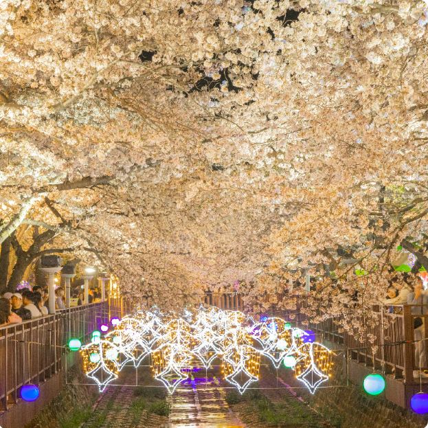 봄꽃축제 진해군항제
