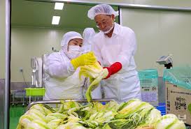 롯데마트 절임배추 예약 2025