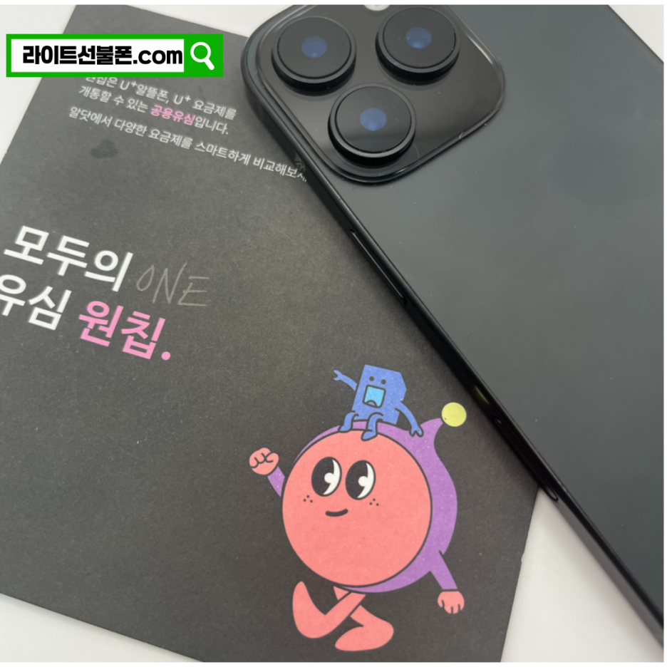 선불폰의-특징