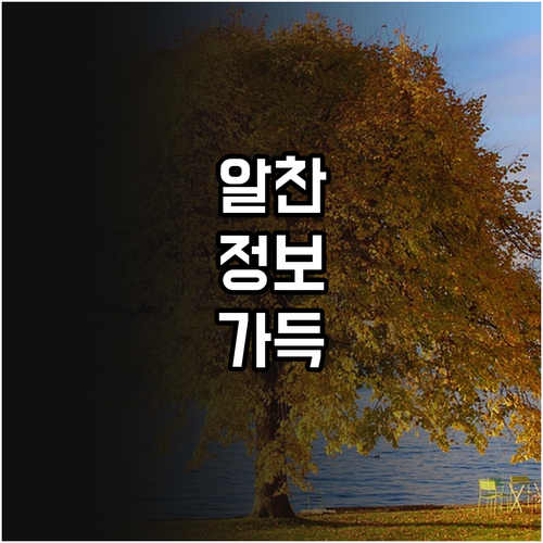 새롭게 시작하는 2025 임산부 친환..