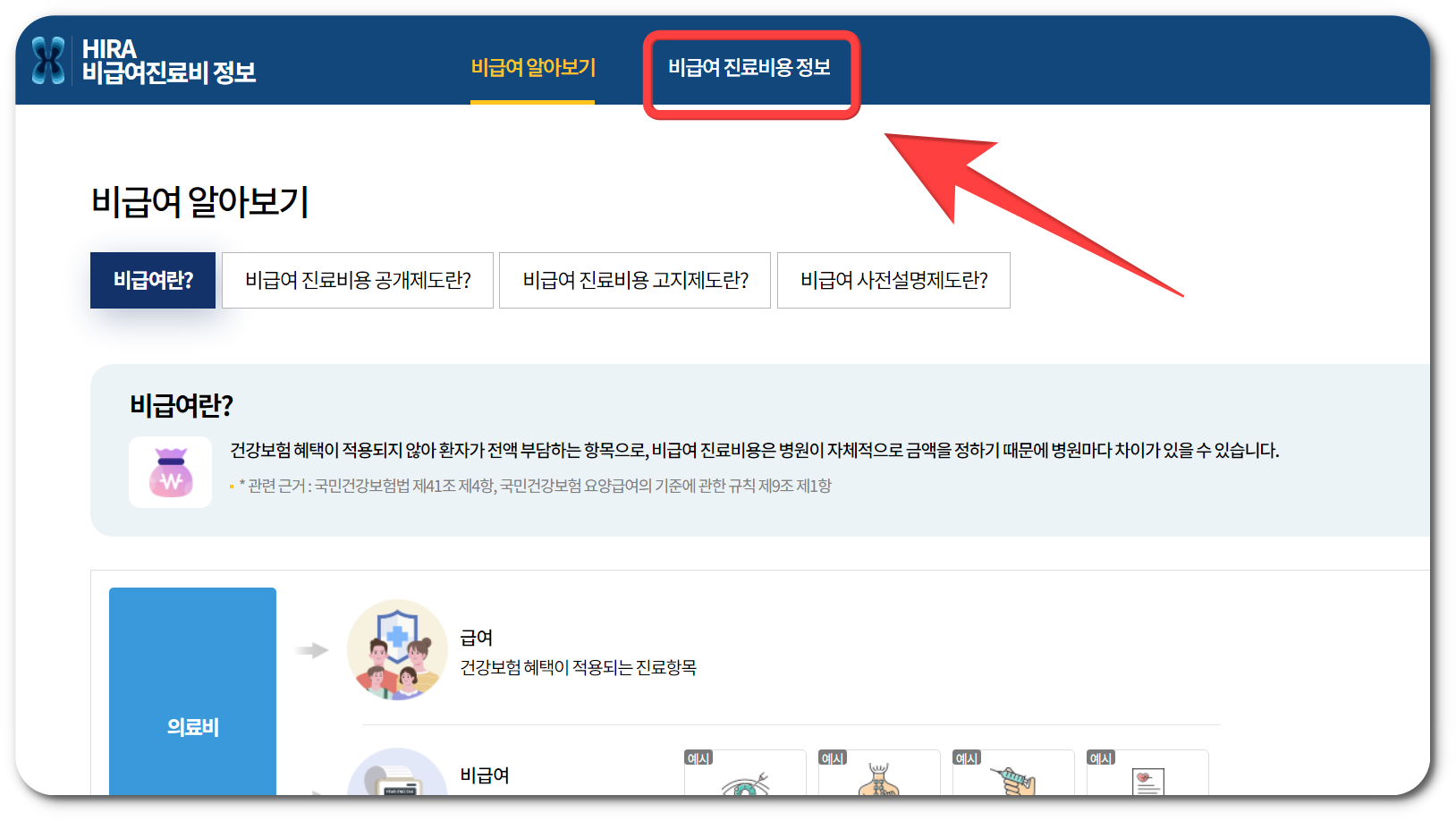프롤로테라피 치료 가격