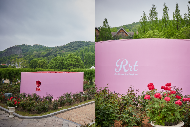 에버랜드 로로티 장미축제