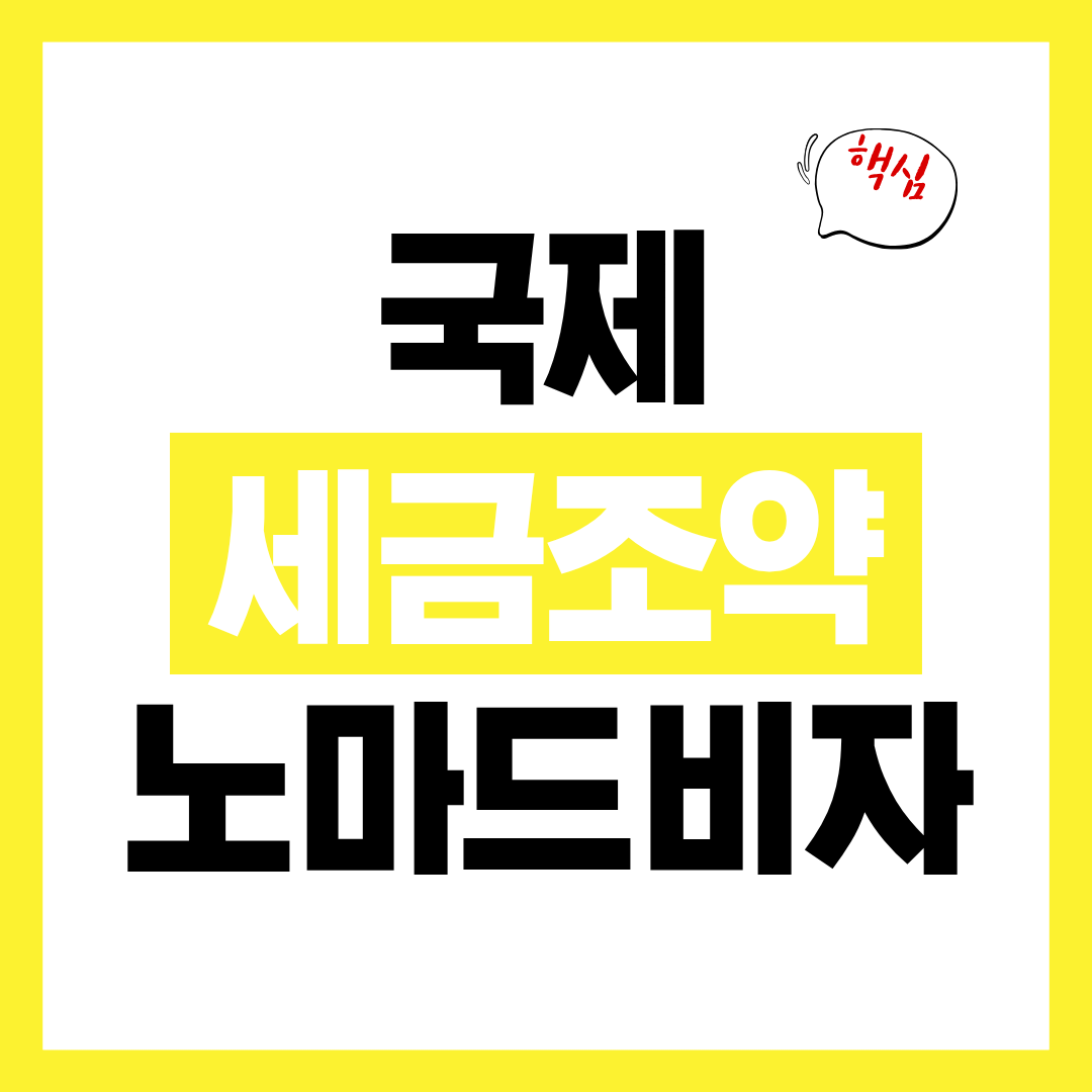 노마드 비자 신청 전 알아야 할 국제 세금 조약 핵심 정리