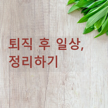 퇴직 후 일상, 정리하기