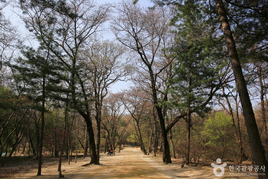 고양 가볼만한곳 베스트10