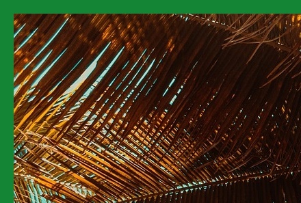 여름철건강관리