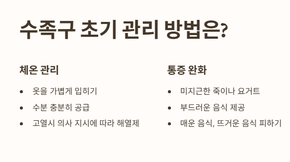 수족구 초기 관리 방법