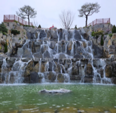 용인 자작나무숲 - 애견동반 입장료 펜션 예약