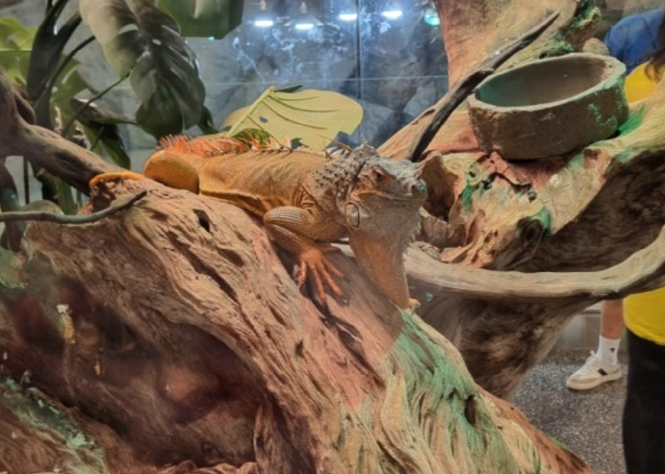 가평 신비동물원