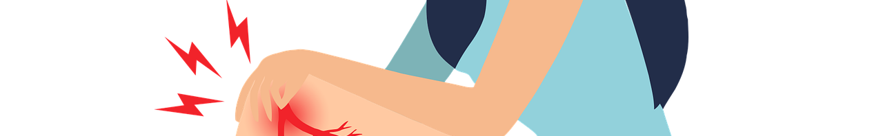 콘드로이친 효능 이미지