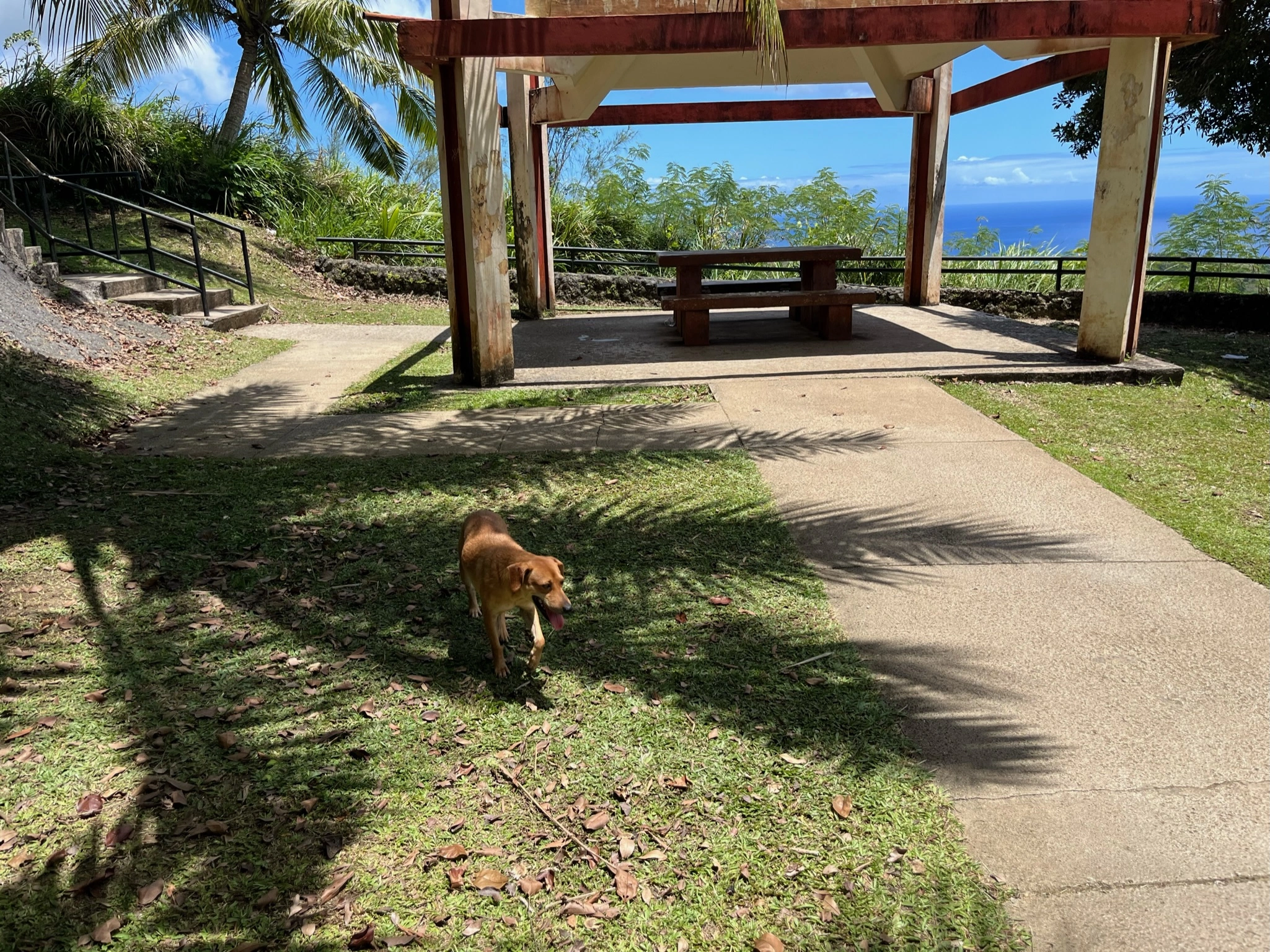세티베이 전망대