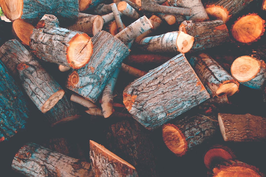 Log