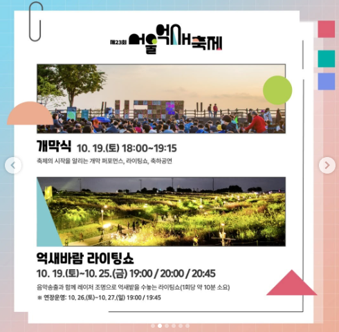 하늘공원 억새축제