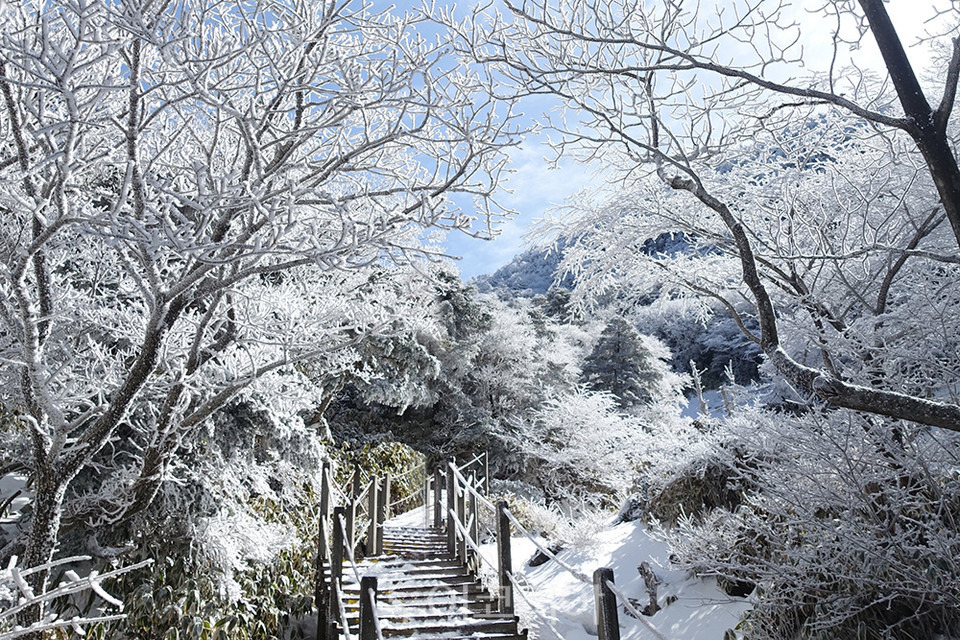 한라산-영실탐방로