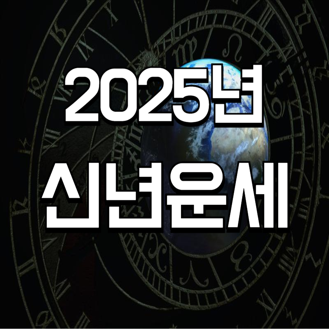 2025년 신년운세 🍀