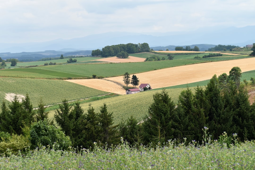 'Agricultural land'