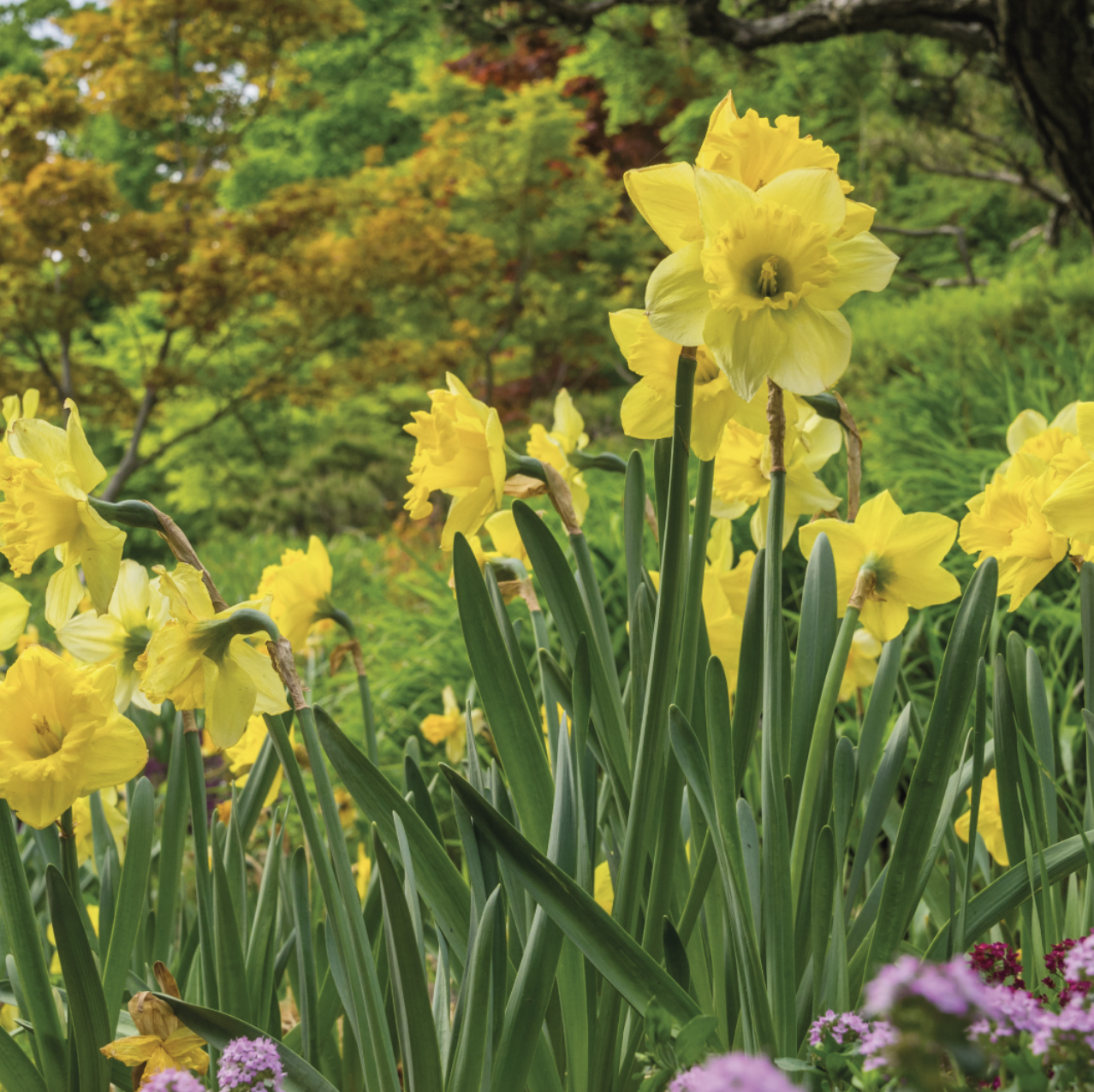 화담숲 홈페이지 예약