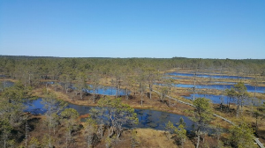 Lahemaa National Park