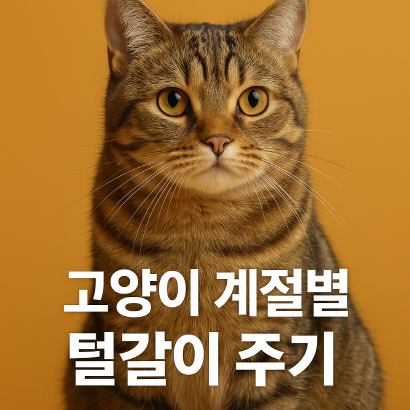 고양이 털갈이 시기와 원인 : 계절별 관리 가이드