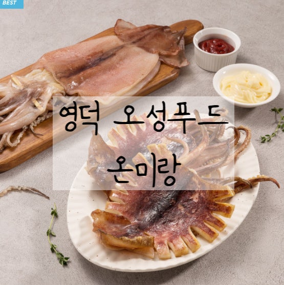 반건조 오징어 - 경북 영덕