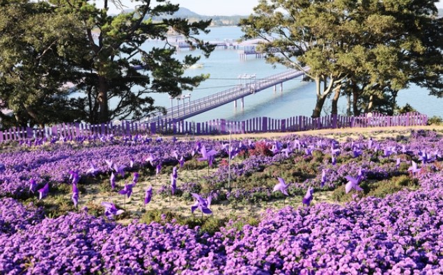 신안 퍼플섬