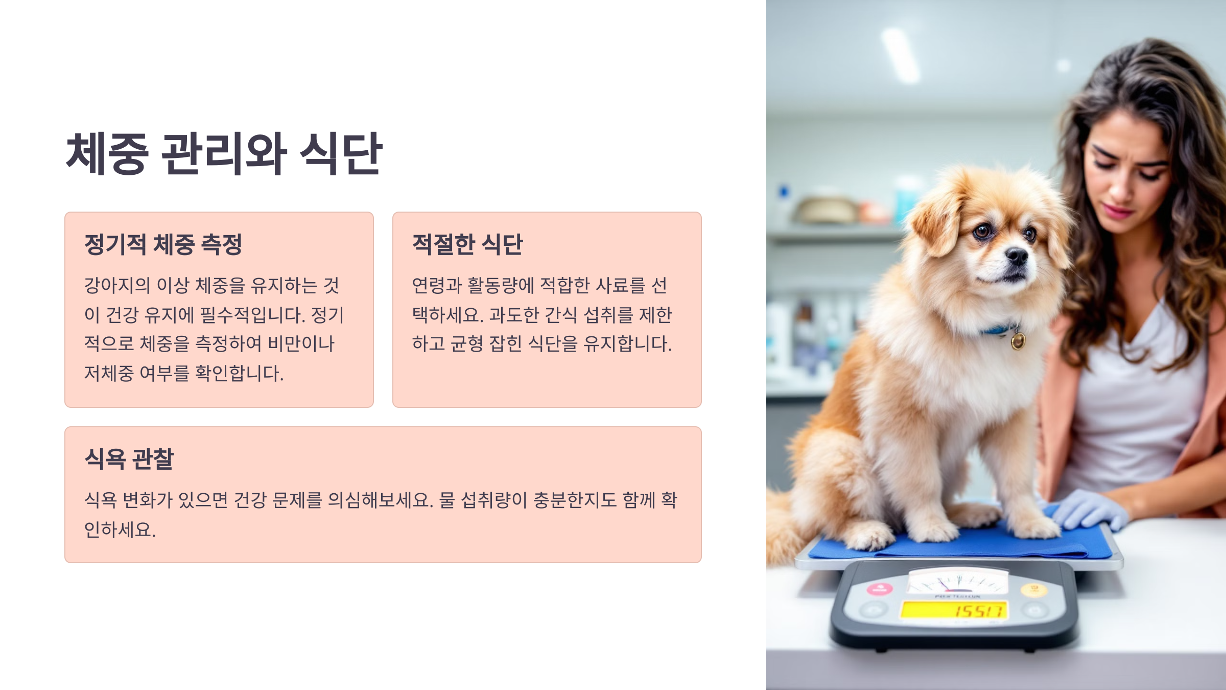 체중 관리와 식단